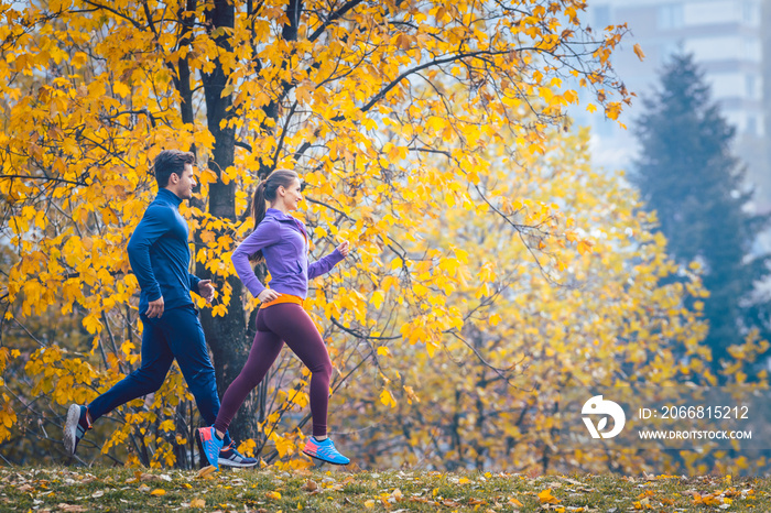 Woman and man jogging or running in park during autumn