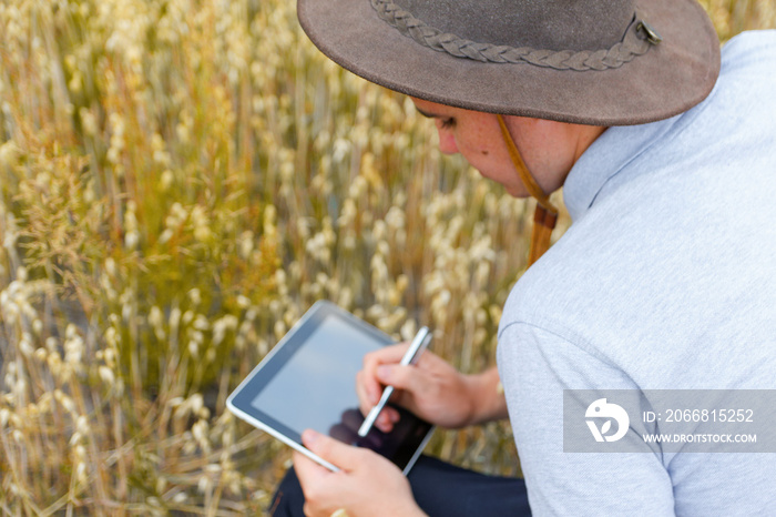 Digital farm. Portrait of farmer seating in gold wheat field and scrolling on tablet. Young man wearing cowboy hat in field examining wheat crop. Oats grain industry. Modern produce. Oats plant