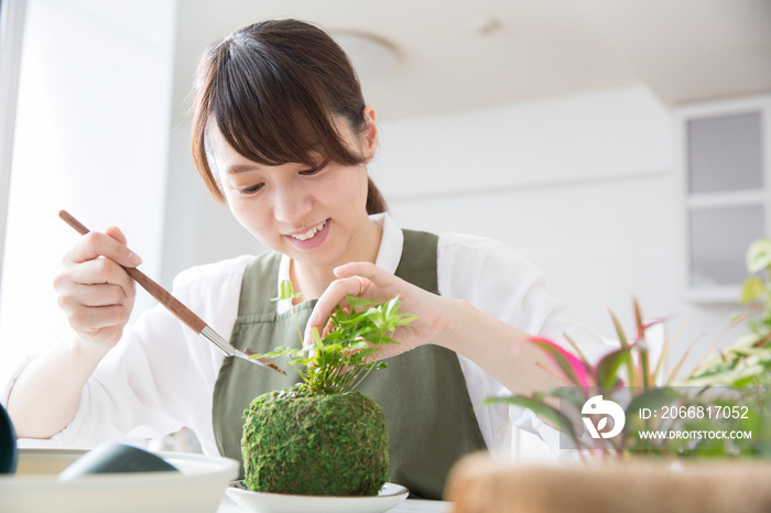 コケ玉作りを楽しむ日本人の若い夫婦、ガーデニング、趣味