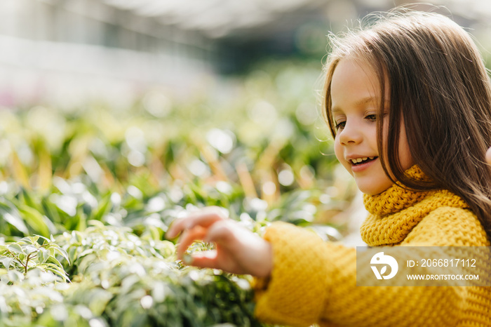 Cute happy kid touching green leaves. Smiling little girl in sweater posing outdoor.