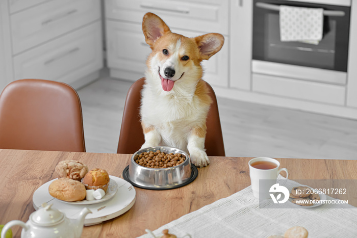 Cute funny dog at table in kitchen