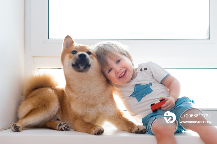 Cute little kid boy with best friend Shiba inu dog looking through window together