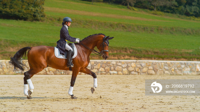 English rider on horseback riding trot around the sandy arena in the countryside