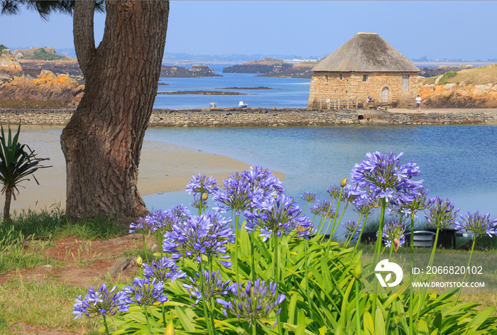 Moulin à marée du Birlot de l’île de Bréhat, Cotes-d’armor, Bretagne