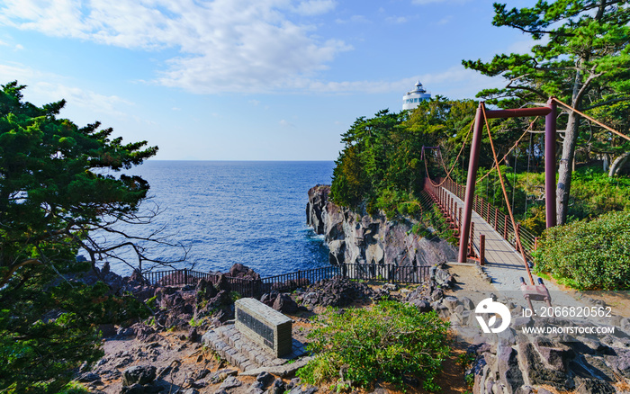 [静岡県] 城ヶ崎海岸 (No.5539)