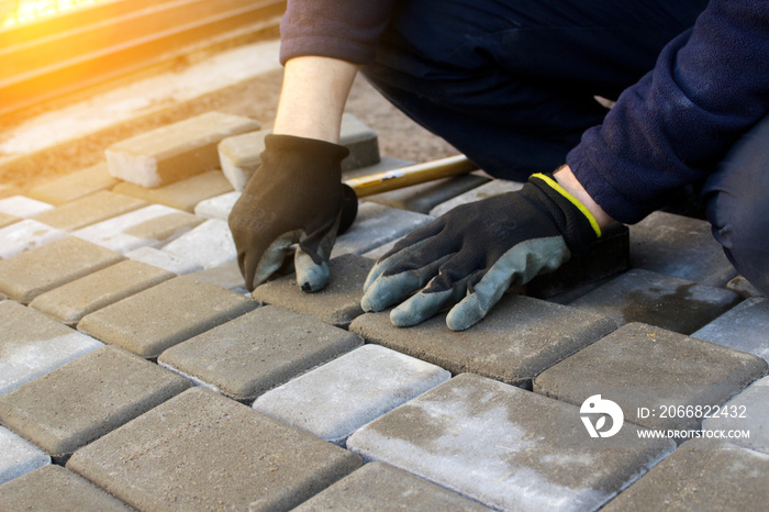 Defocus paver master. Man lays paving stones in layers. Garden brick pathway paving by professional worker. Hands of worker installing concrete paver blocks by rubber hammer. Out of focus