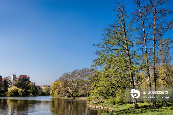 berlin, deutschland  - ufer am lietzensee