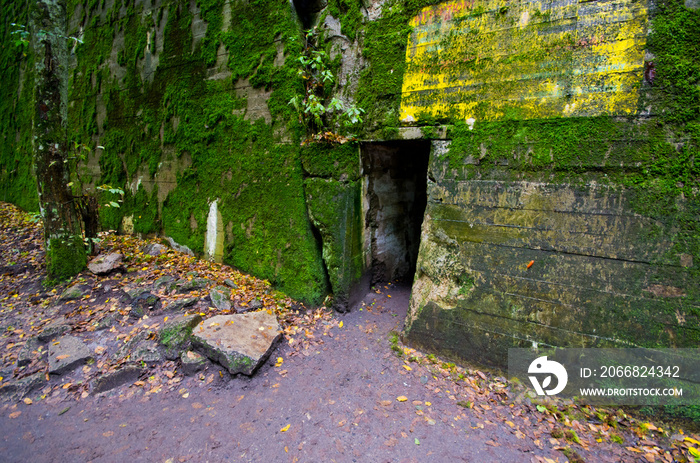 German bunkers of Wilczy Szaniec, Poland