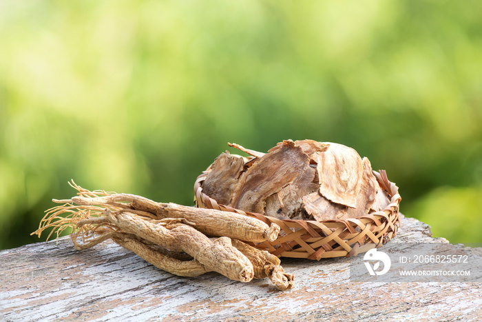 Angelica sinensis and ginseng on bokeh nature background.