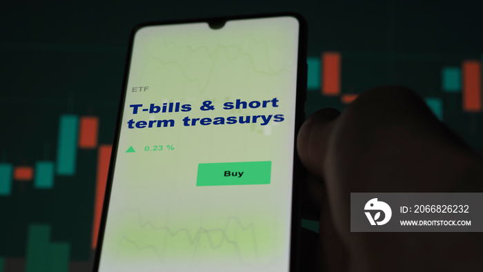 An investor’s analyzing the short treasuries on screen. A phone shows the ETF’s prices t-bills & short term treasurys