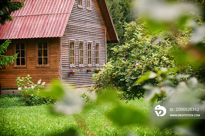 Suburban wooden house with a red roof in the green garden at russian countryside in summer