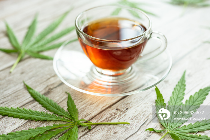 Glass cup of cannabis herbal tea. Cup of tea with marijuana and fresh green leaves on the wooden background.