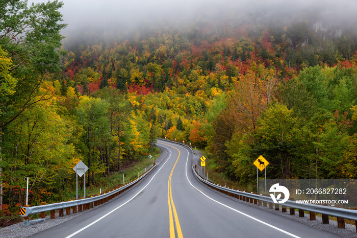 Scenic road in the mountains surrounded by vibrant Fall Color Trees. Taken in Forillon National Park, near Gaspé, Quebec, Canada.