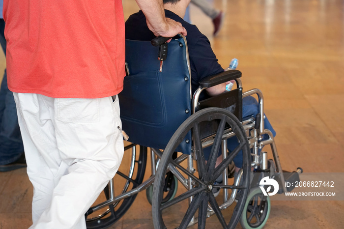 Father rolls wheelchair with his son. The old man on a wheelchair and his adult son are walking. A man is carrying his father. Back view.