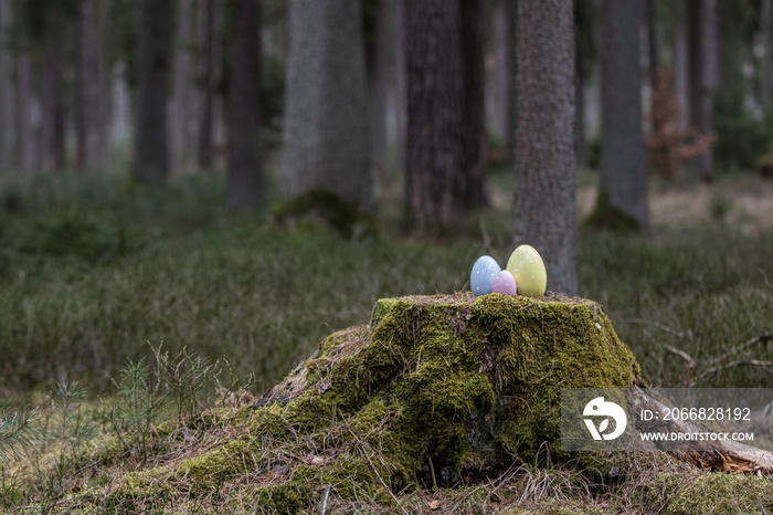 Osterdekoration im Wald