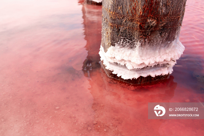 The pink lake is a beautiful landscape, unusual nature. A unique rare natural phenomenon. Salt lake with pink algae. Beautiful landscape.