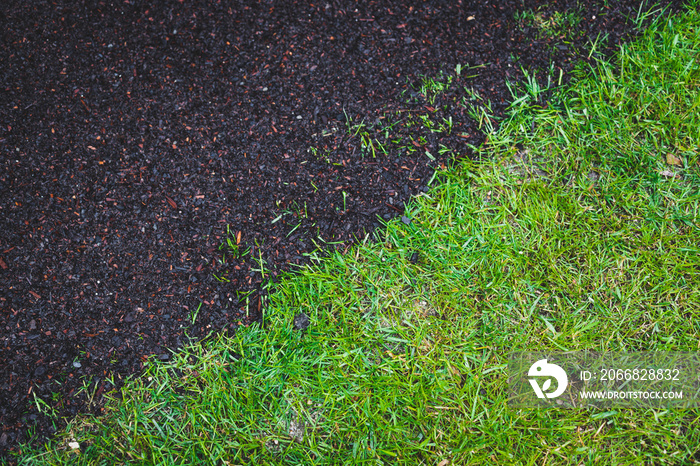 landscaping and taking care of the environment, green grass lawn next to patch of soil with only a few blades growing