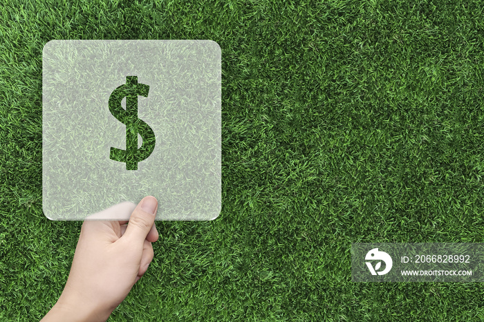 Dollar symbol message box with green grass background