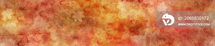 Autumn and Fall Banner Wide Panorama