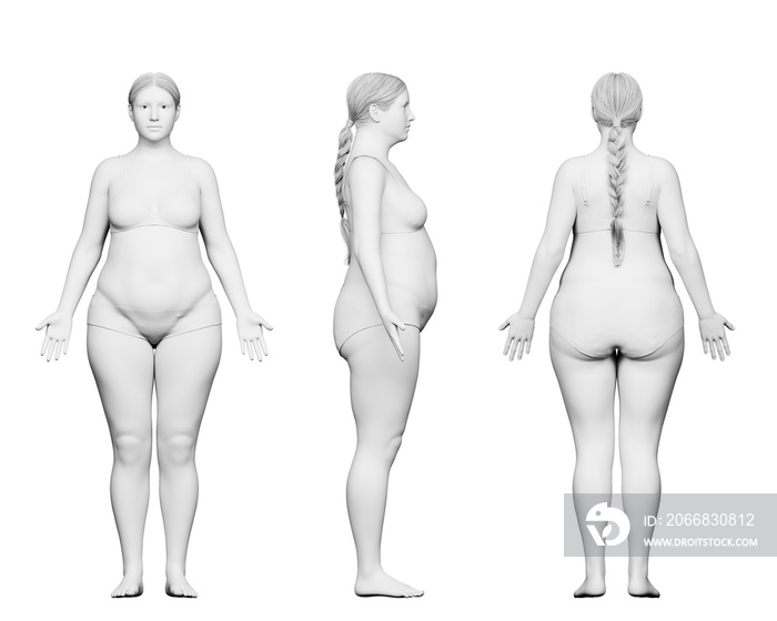 3d rendered medical illustration of a pear shaped female body