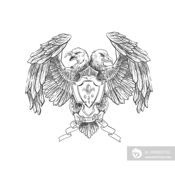 double-headed eagle hand drawn isolated on white