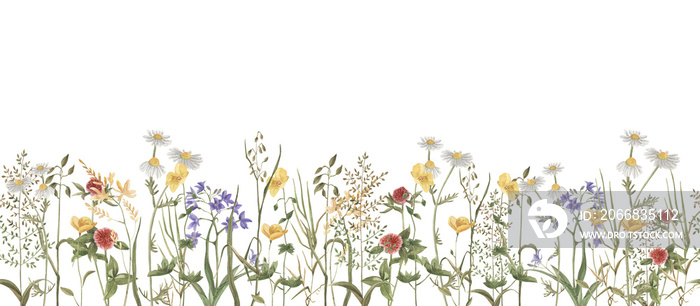 wildflowers on a transparent background pattern coupon with daisies