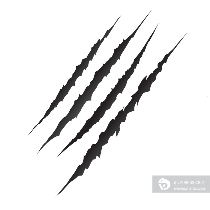 Animal black scratches on transparent background, Vector illustration