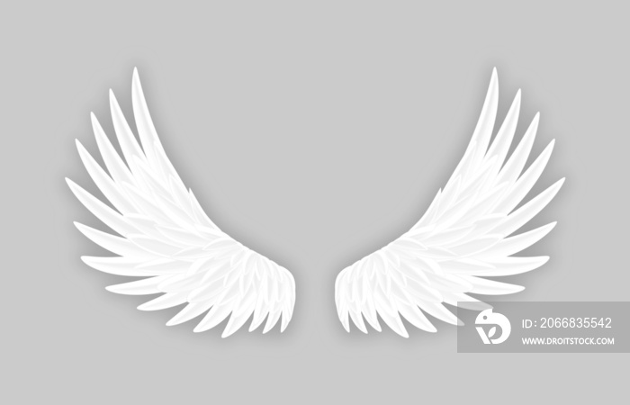 white eagle wings in smooth gradation style on transparent background – illustration