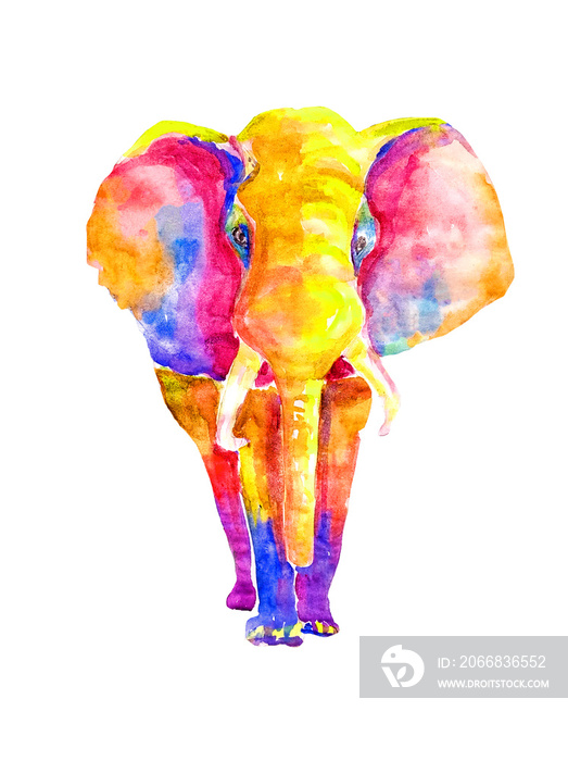 Watercolor bright rainbow neon elephant on a white background isolated. Colorful multicolored big adult of mammal illustration.