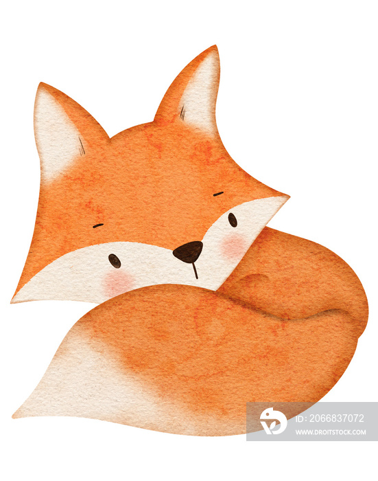 Watercolor cute fox cartoon character