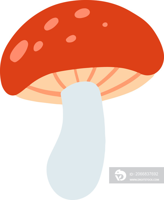 Cute mushroom Illustration for design element