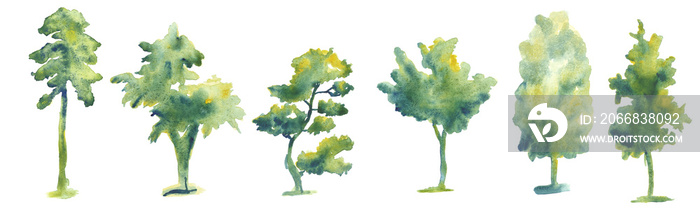 Set of hand drawn watercolor trees illustrations isolated on white. Collection of various hand painted plants