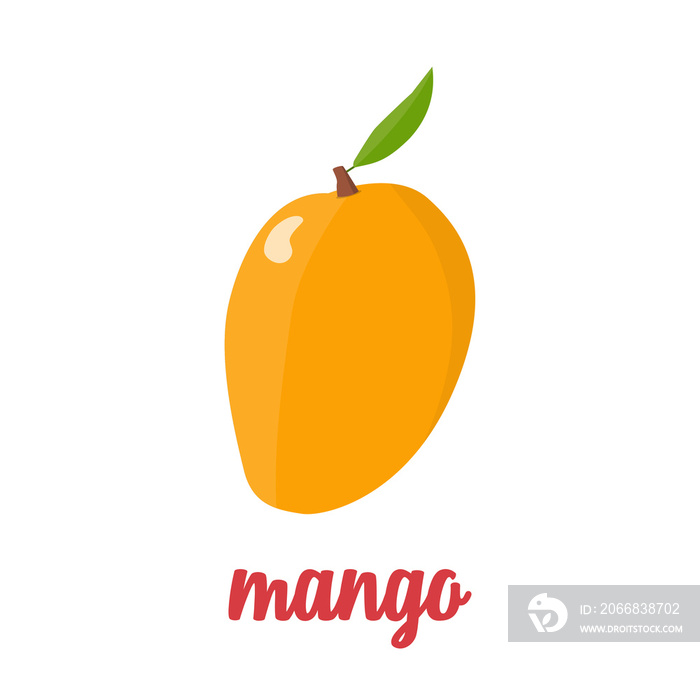 Mango icon in flat design on a white background. Vector illustration