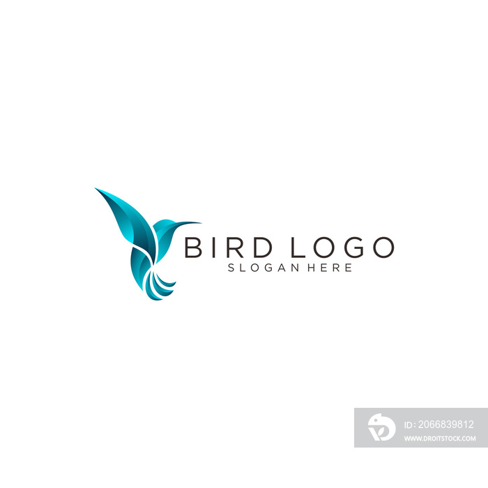 Hummingbird vector logo design. Bird vector logo design.