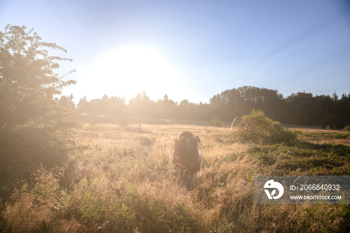 U.S. Army female soldier putting in the miles with an early morning hike in the NorthWest.