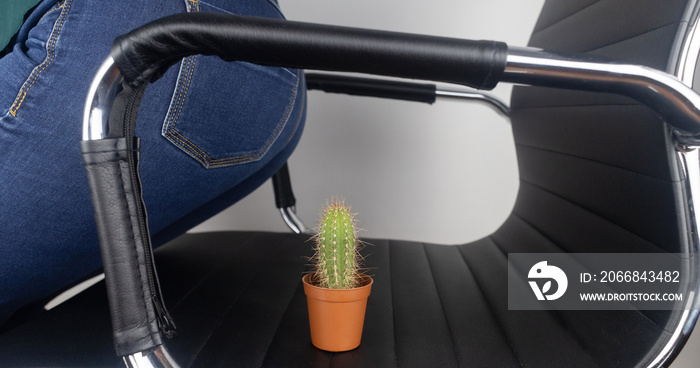 Concept. A woman holds a cactus as a symbol of rectal pain. Varicose veins of the lower intestine. Pain in the rectum, hemorrhoids and pain in the excretory system of the body. Proctology