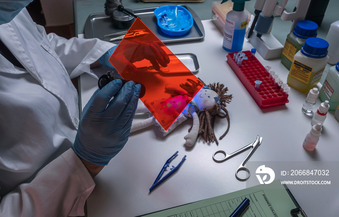 Police scientist investigates rag doll with ultraviolet light, trace blood stains analysed after applying luminol, conceptual image