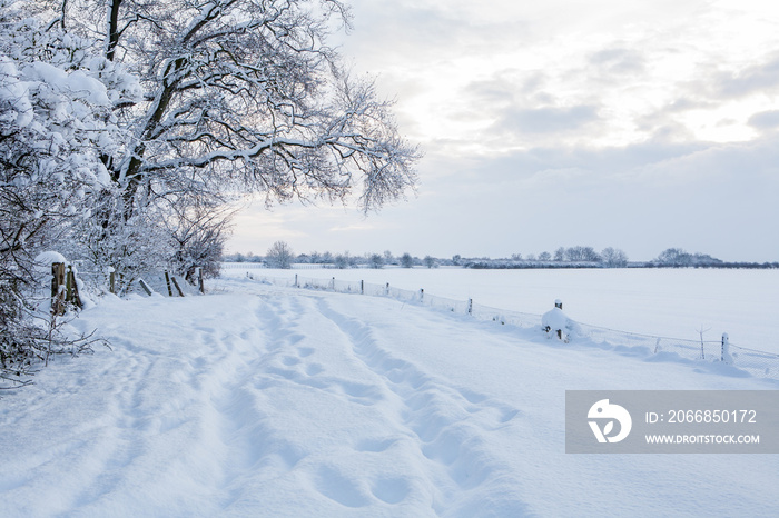 snow covered road