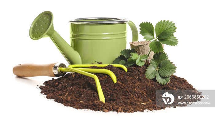 Soil, plant and gardening tools on white background