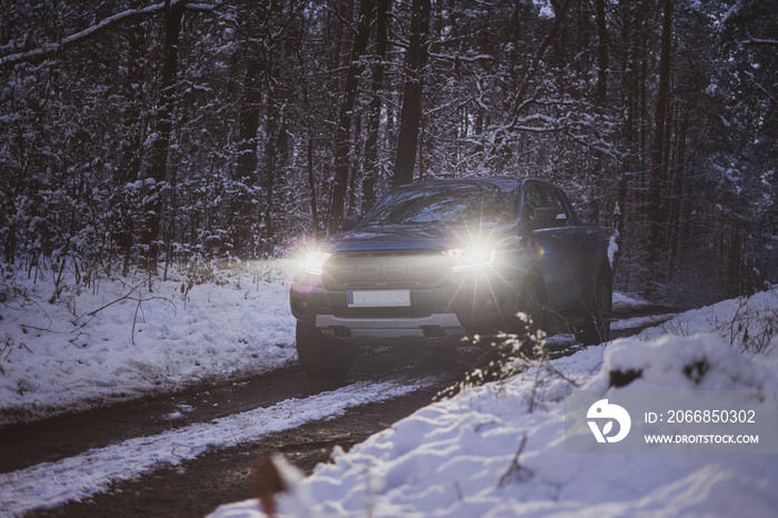 ford ranger raptor in forest