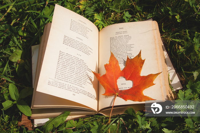 book with a maple leaf in the form of a heart lies in the grass.