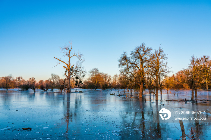 Ice covered field after a flood and frosty night, Düsseldorf Germany.