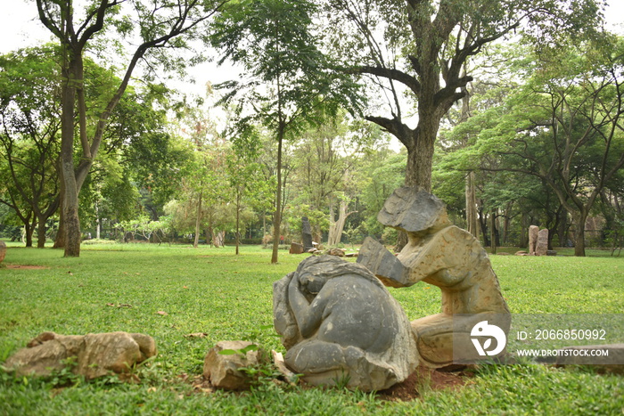 Sri Chamarajendra Park (Cubbon Park), Bangalore, Karnataka