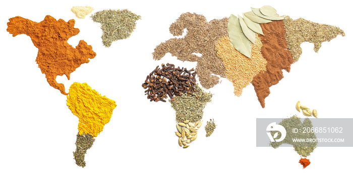 World map made of spices on white background