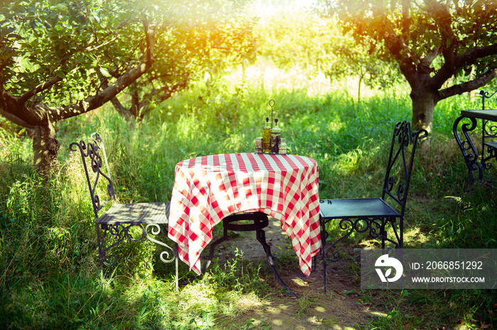 Table is set and waiting for dining in the countryside