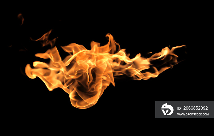 Fire flames on a black background