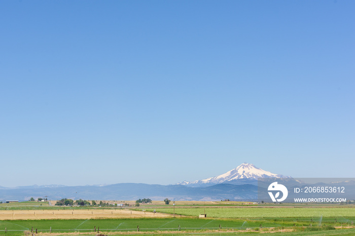 Mount Jefferson mountain range seen across Oregon’s wheat field plains, USA