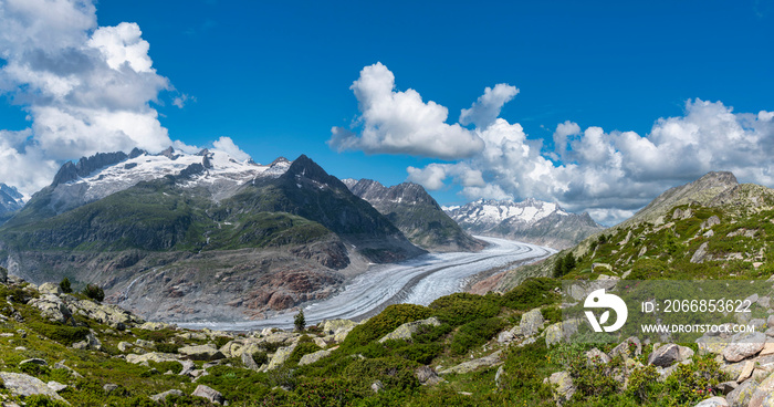 Landscape near Riederalp with Aletsch Glacier