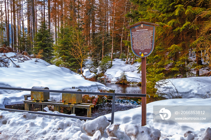 Nationalpark Harz im Winter Oderteich