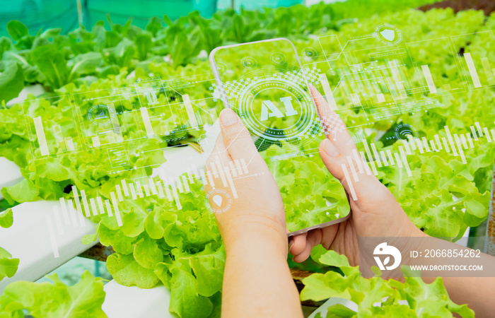 smart farmer holding smartphone,farm background,concept agricultural product control with artificial intelligence or AI technology,agriculture future market,tracking production by smart agriculture